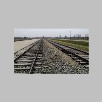 Auschwitz.jpg