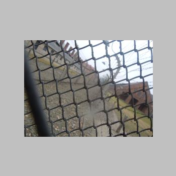 DSCN3647.JPG