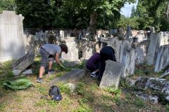 6A: Ehrenamtswoche "Pflege des jüdischen Friedhofs in Währing"