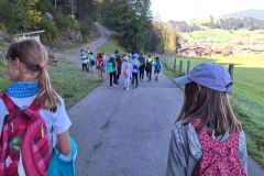 5_wald