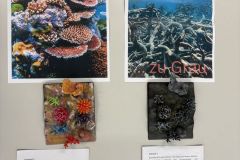 IMG_0066