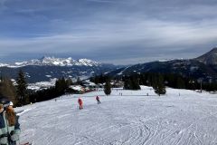 IMG_9486