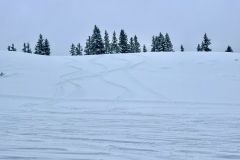 IMG_1449