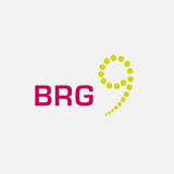 BRG 9 Logo